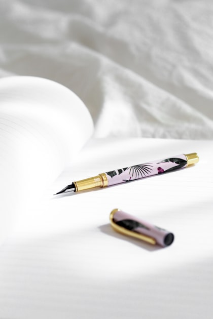 Top 5 Fountain Pen Reviews